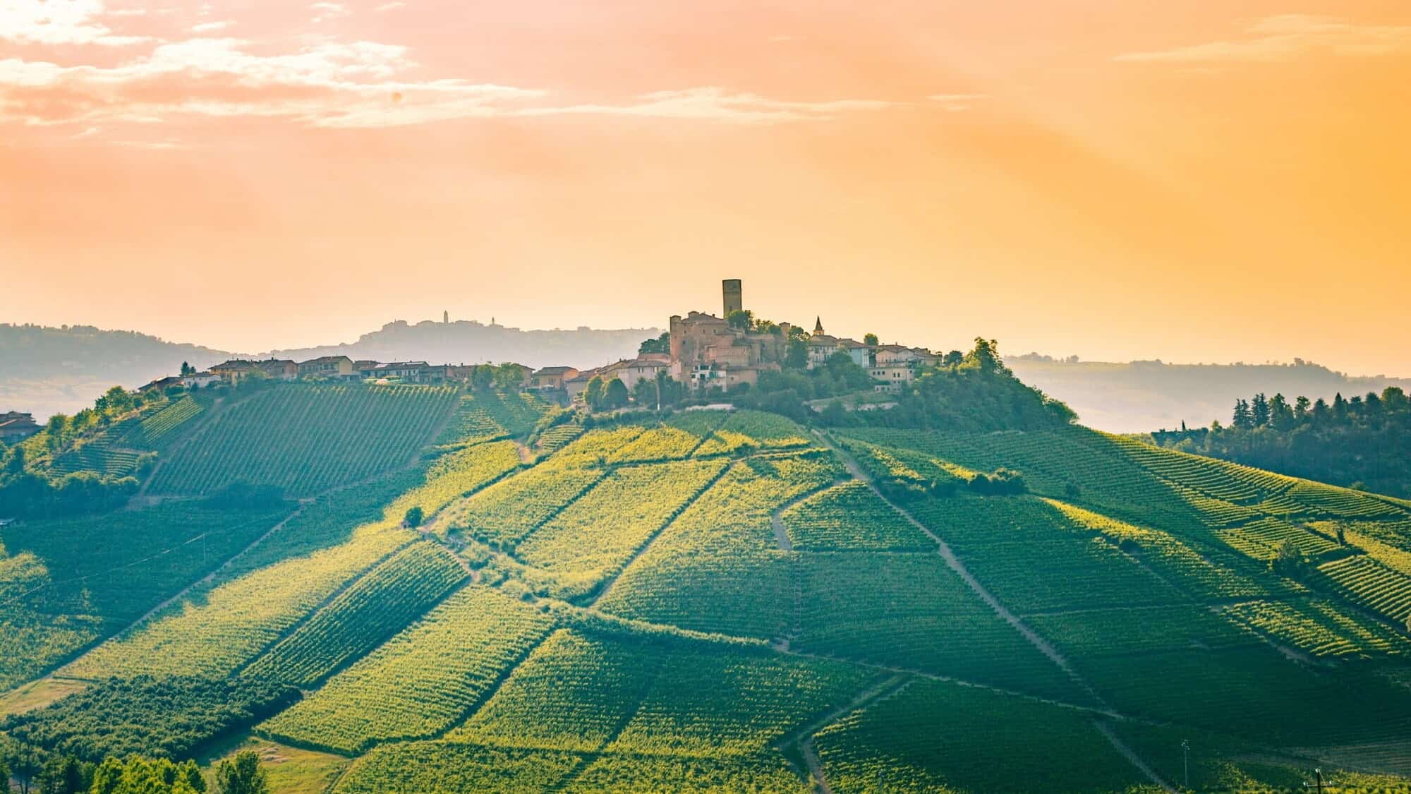 Itinerario in Moto tra le Langhe e il Monferrato: Scoprire i Sapori e i Paesaggi del Piemonte